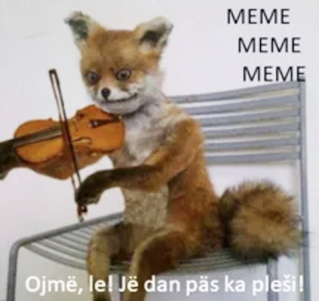 Natečaj za memeje v rezijanščini_Concorso per meme in resiano